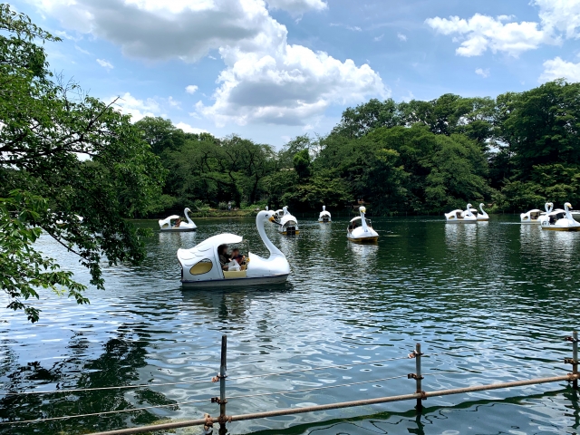 井之頭公園