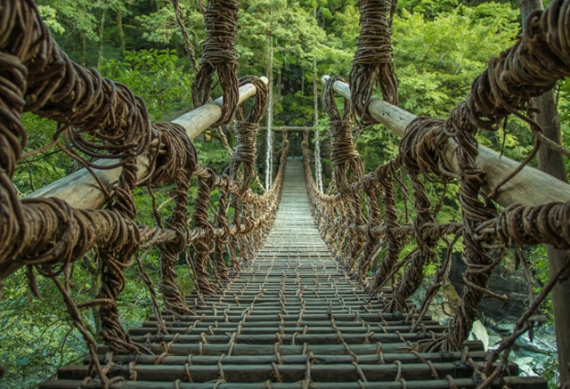 祖谷渓のかずら橋