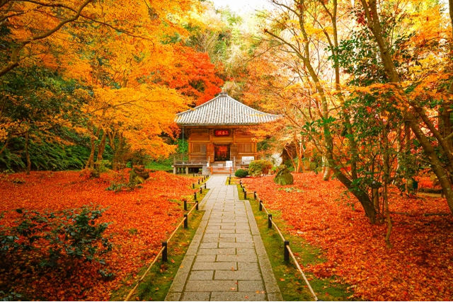 松島　円通院