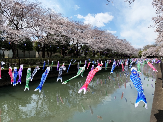 館林市　鯉のぼりの里祭り