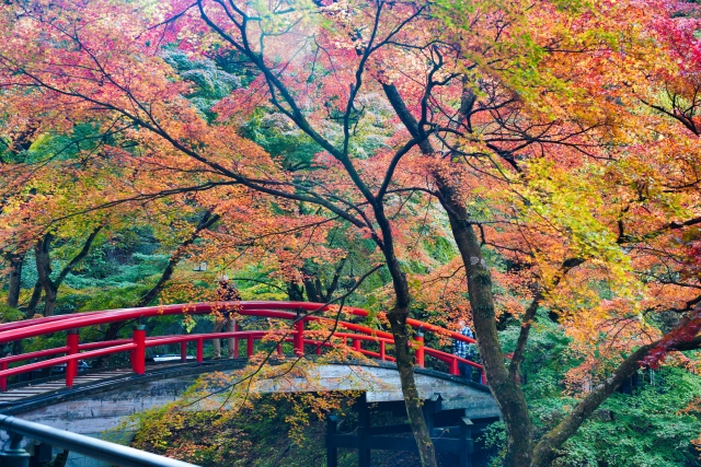 伊香保