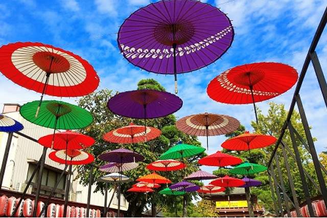 2025年1～11月 訪日外客数累計レポート記録的な成長も、地政学リスクが浮き彫りに